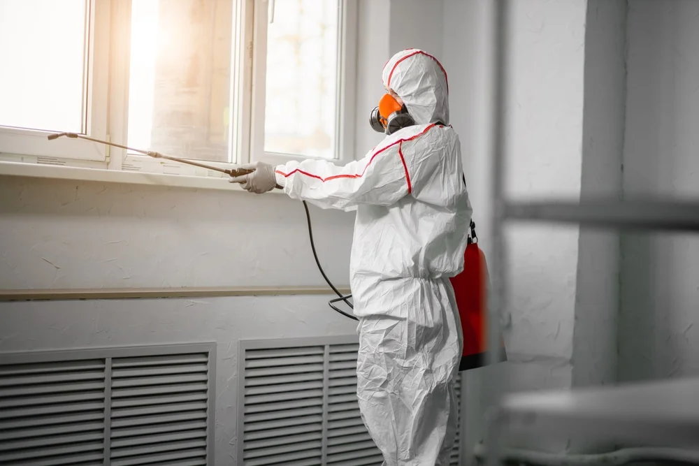 Professional mold remediation services in Lockhart, TX